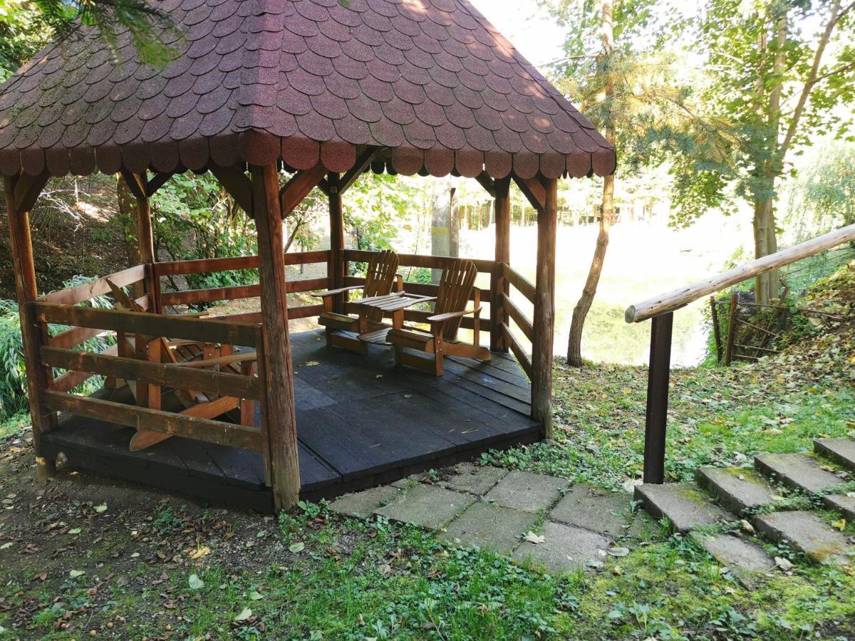 Pensiunea Ionela Zemes Exterior foto