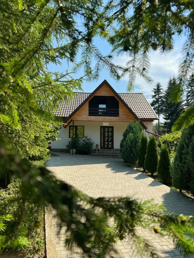 Pensiunea Ionela Zemes Exterior foto